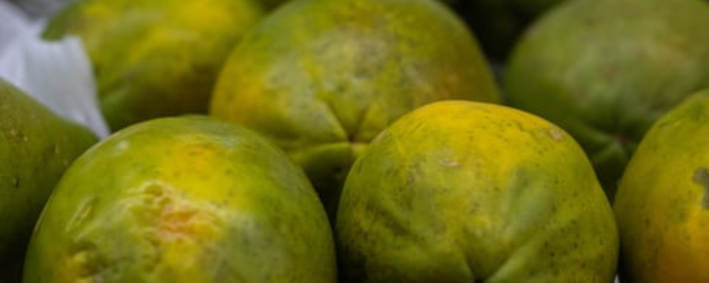 papayaa fruit