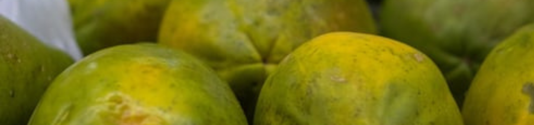 papayaa fruit papayaa fruit